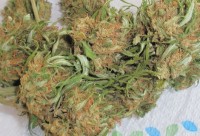 Chronic picture